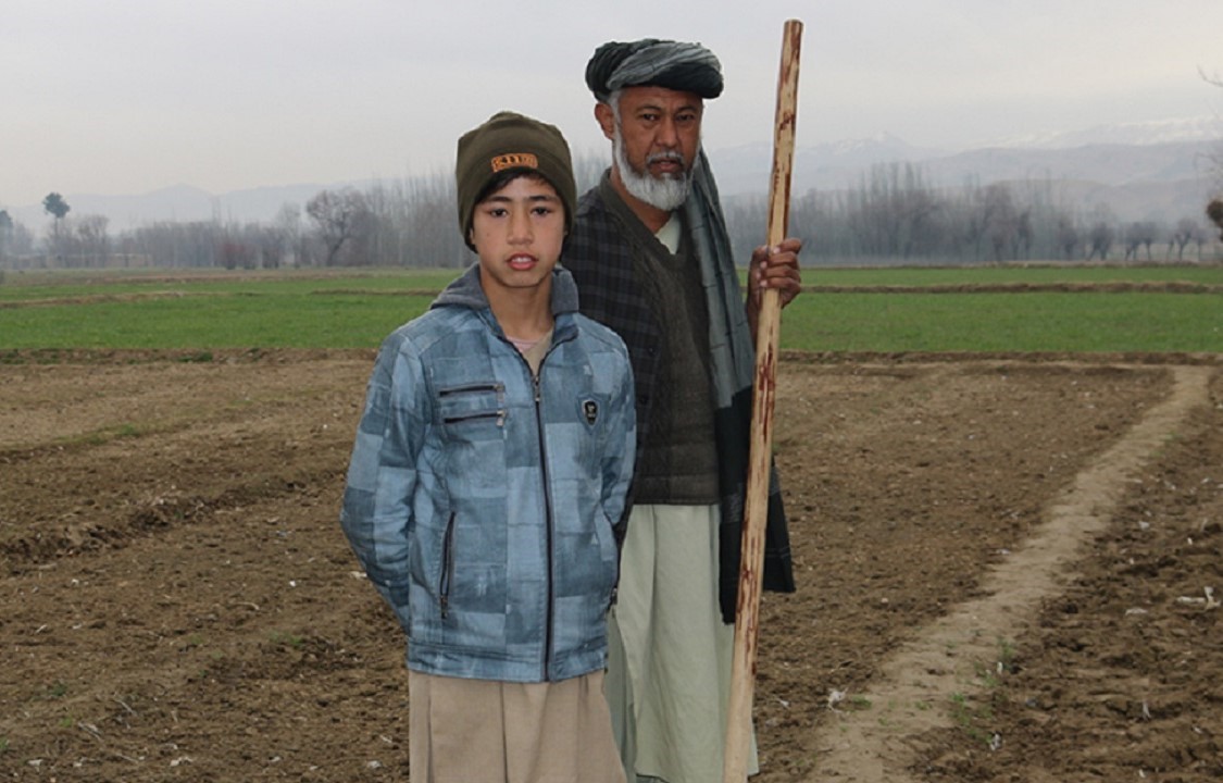 Afk survival project