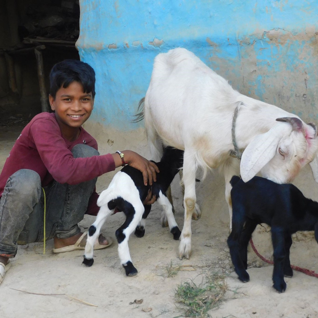 Children's Emergency Fund